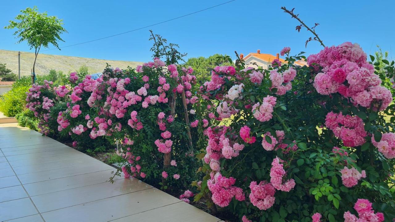 Apartments Simurina Vlašići Εξωτερικό φωτογραφία